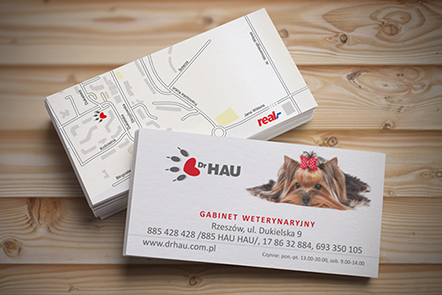 Dr Hau wizytówki